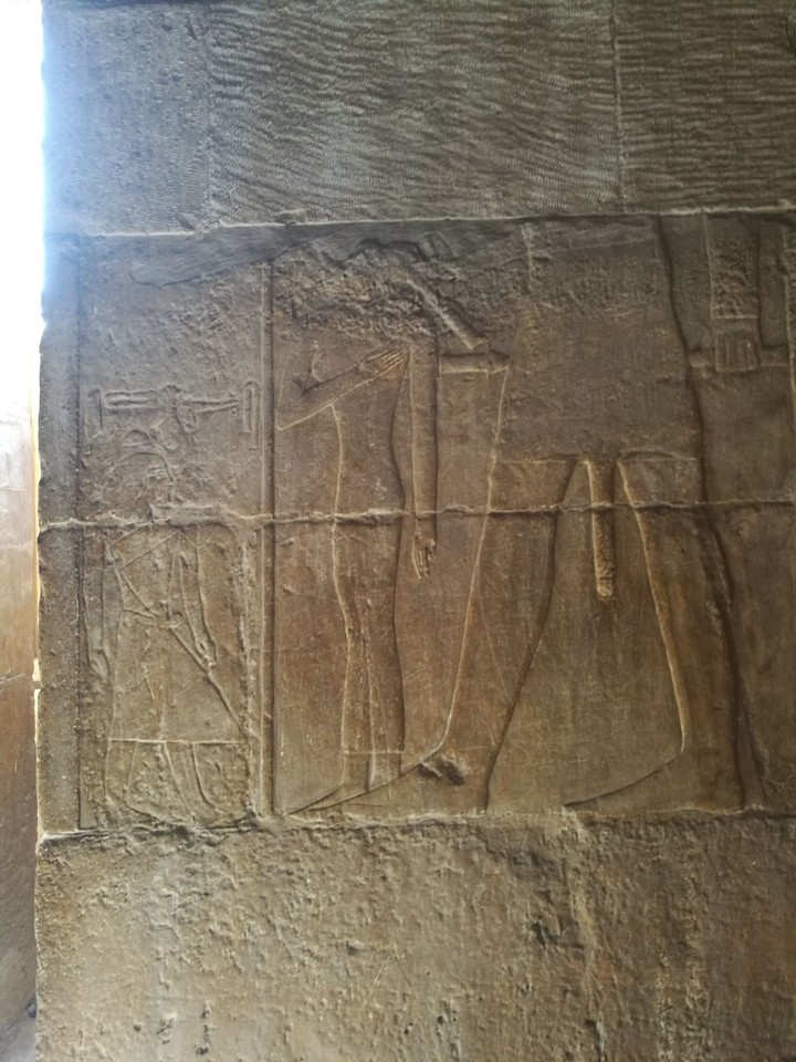 Egyptian