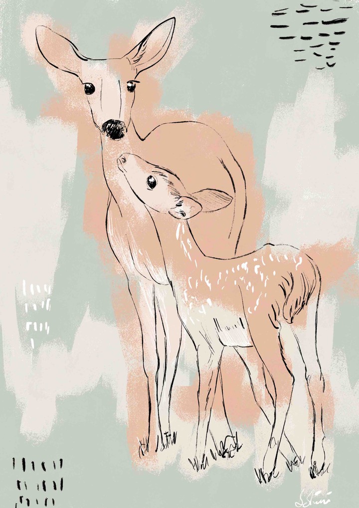 Momma Deer and her Fawn