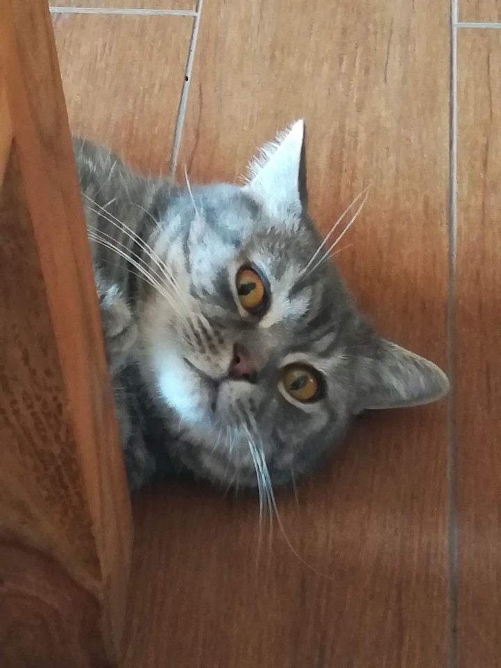 Arturo