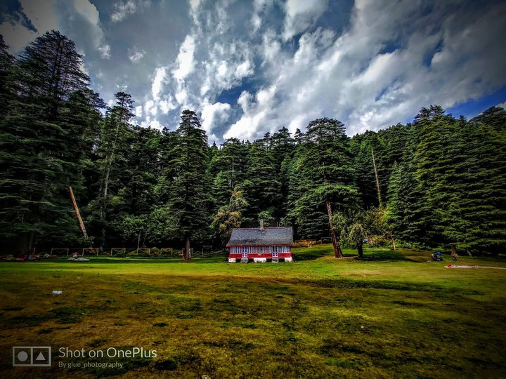 khajjiar - himachal pradesh