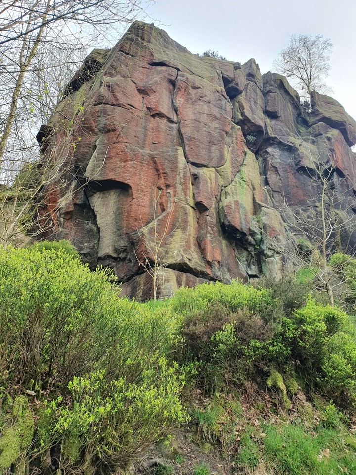 Stone