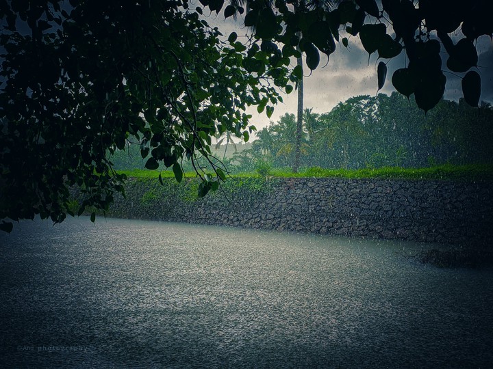 kerala beauty