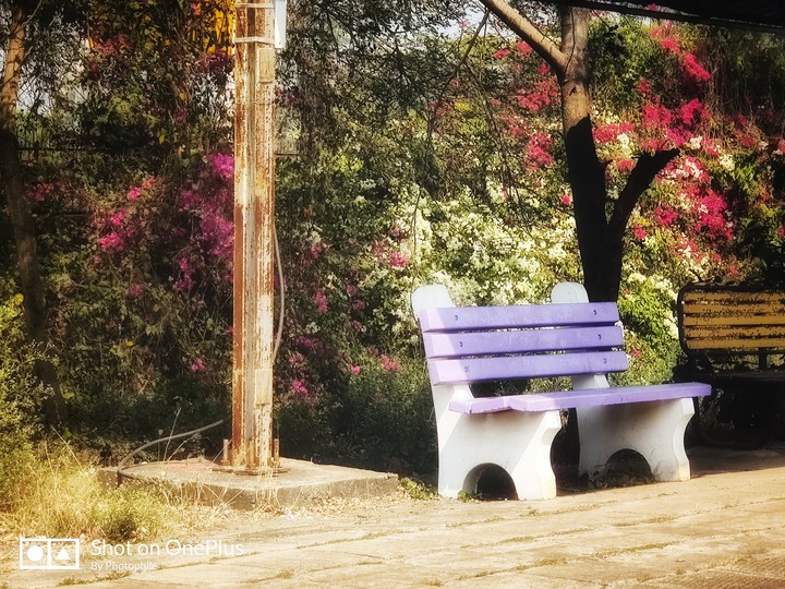 A bench is wait