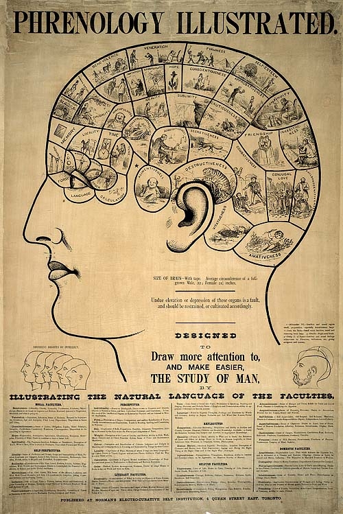 Phrenology Poster