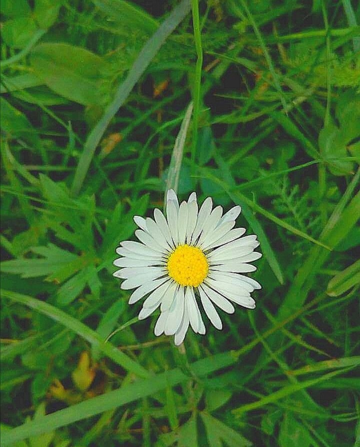 Lonely