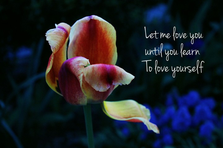 Let me love you