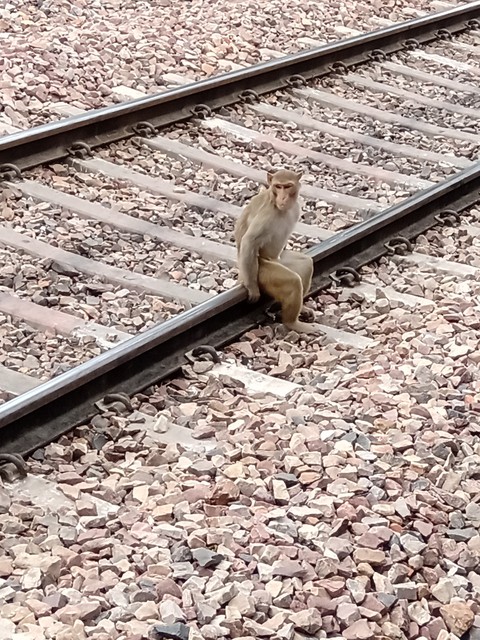 Waiting For Train