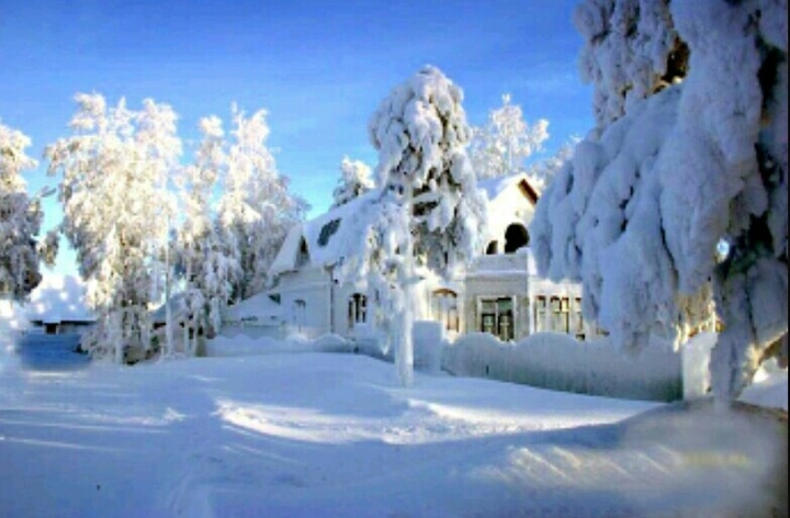 winter