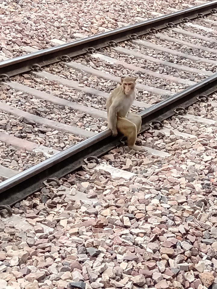 Waiting For Train