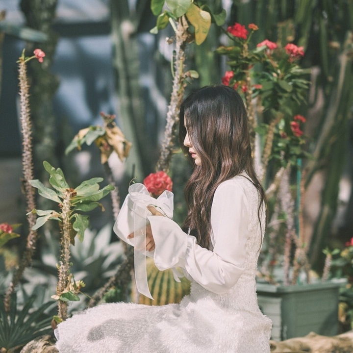 Red Velvet Irene