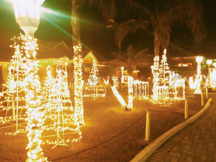 Noche de Navidad
