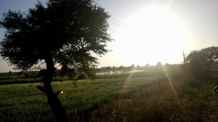 Sunrise