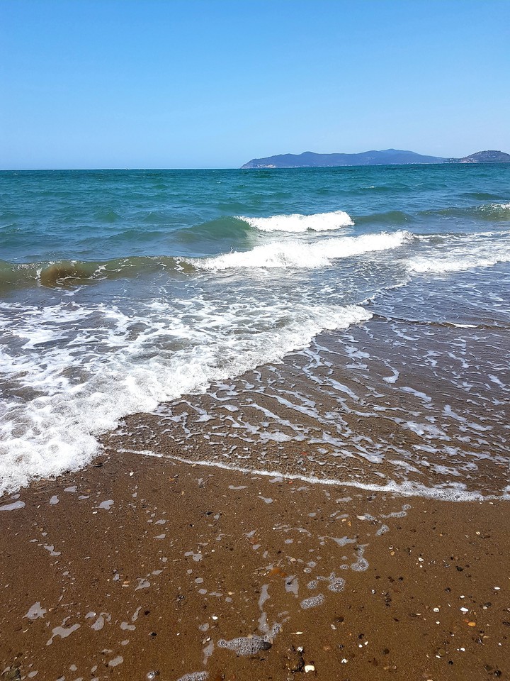 mare