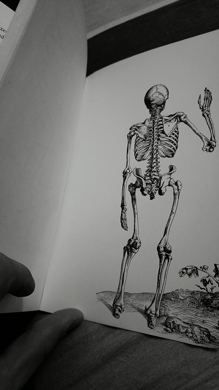 skelation