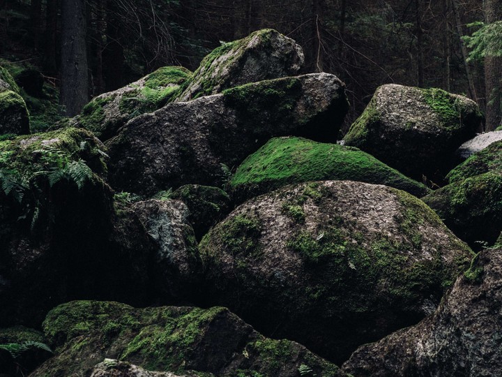 Moisture Rocks