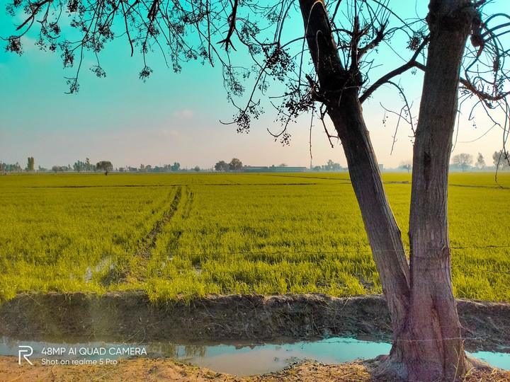 BEAUTY OF PUNJAB