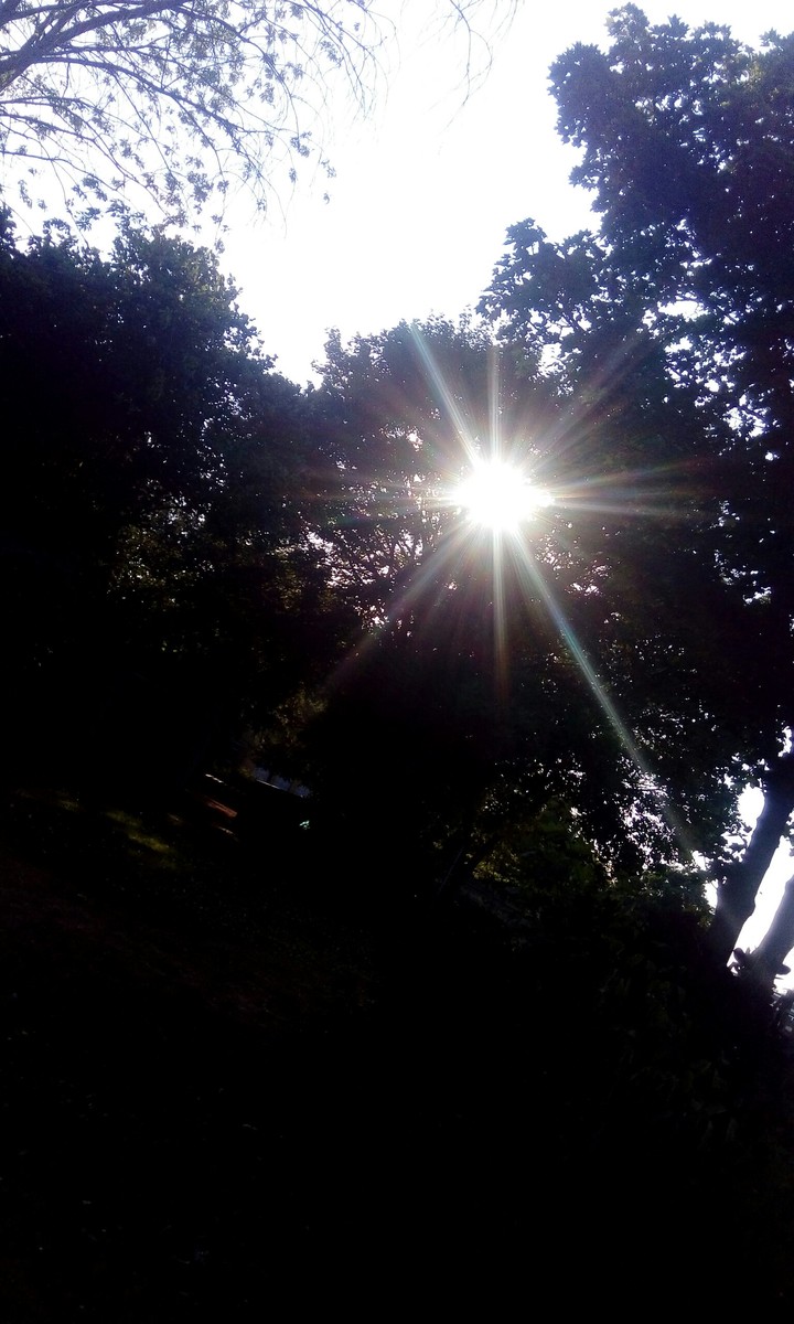 evening