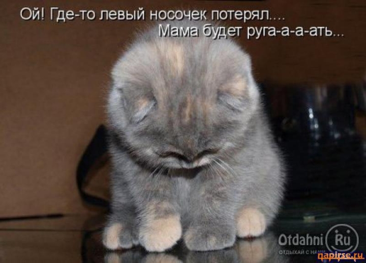 #Лапочка
