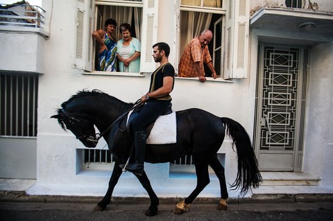 dark horse