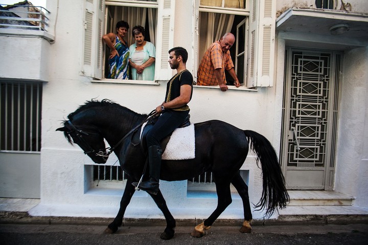 dark horse