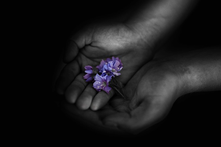 Beauty in your hands