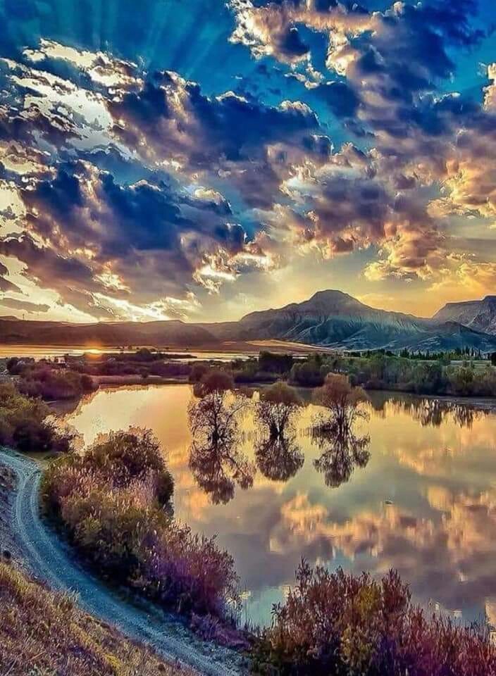 naturaleza