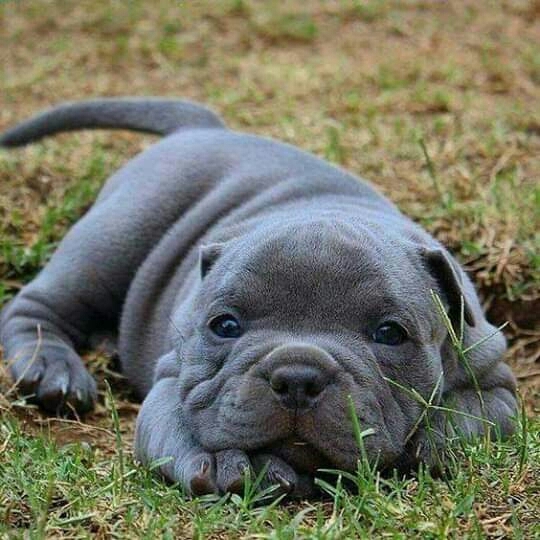 ❤