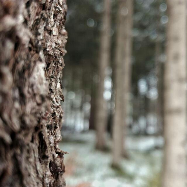 .....