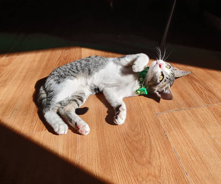 Sunbathing in the Spotlight