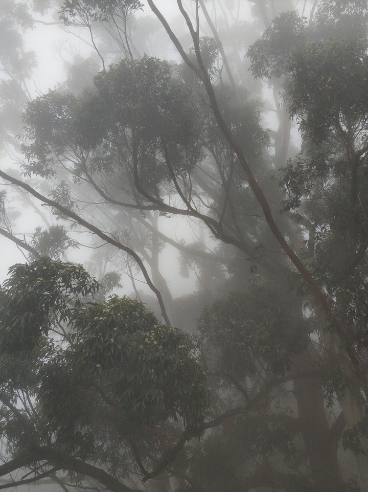 inside the cloud