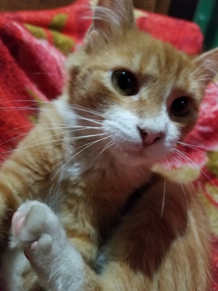 His name is Michu
