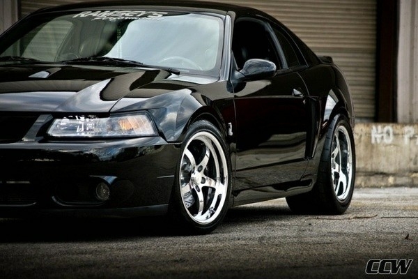 04 cobra