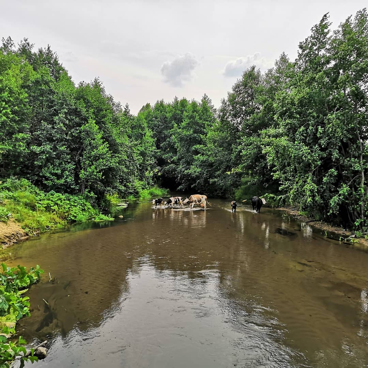 речка