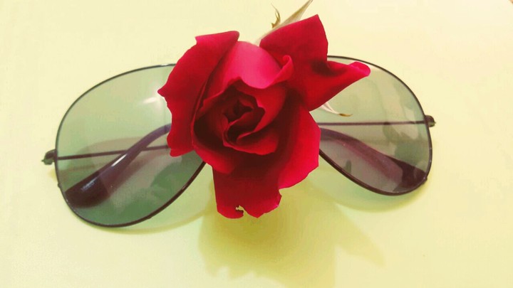 Red Rose