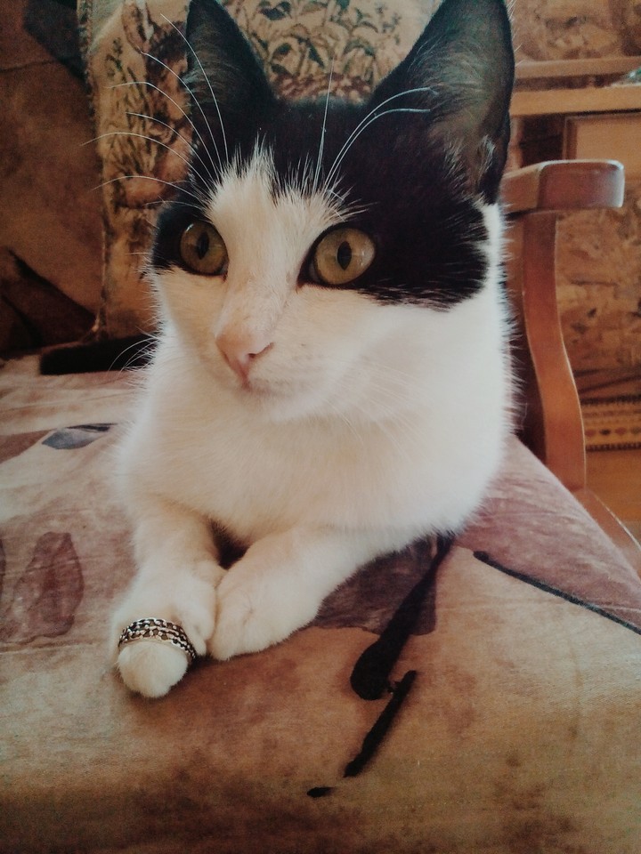 My pretty angel