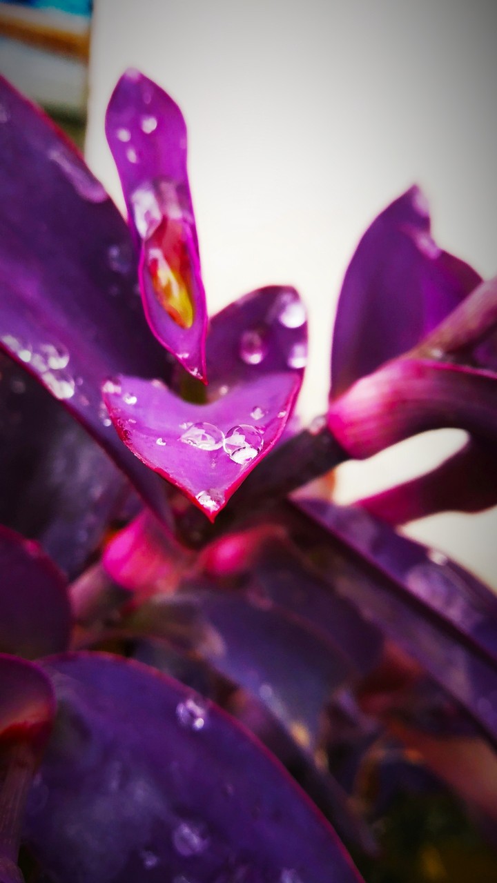 droplets 