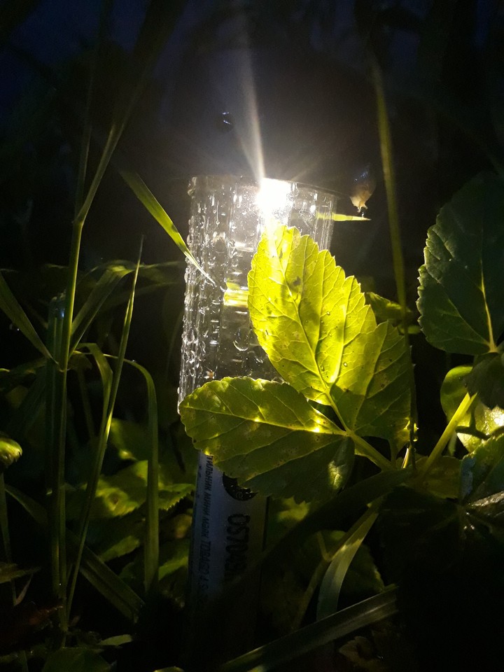 gardens lite