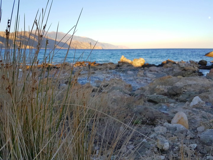 Sea