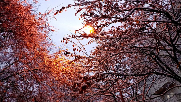 November