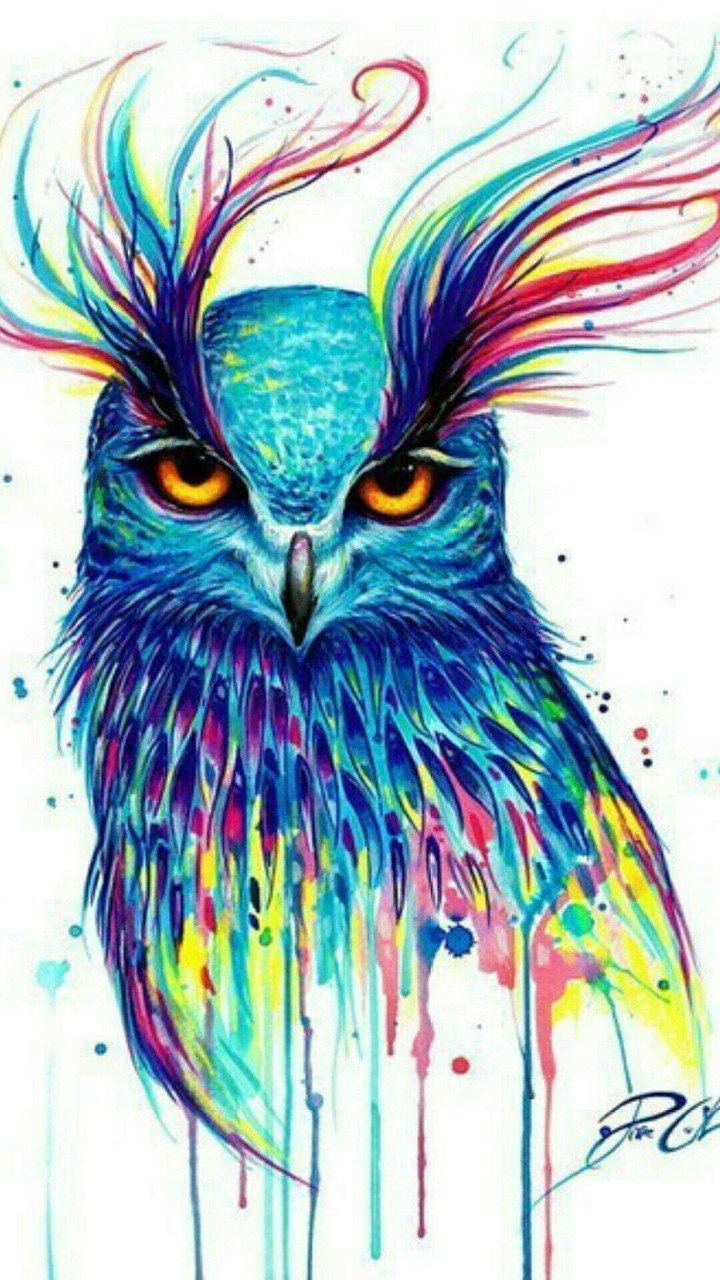 Owl