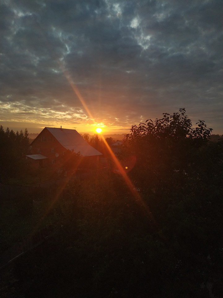 Dawn