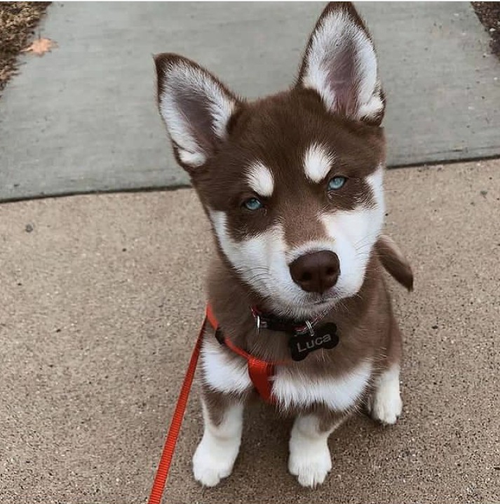 ^•^•^