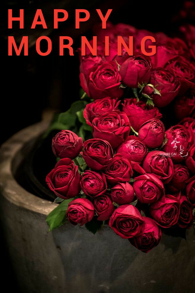 happy Morning ?