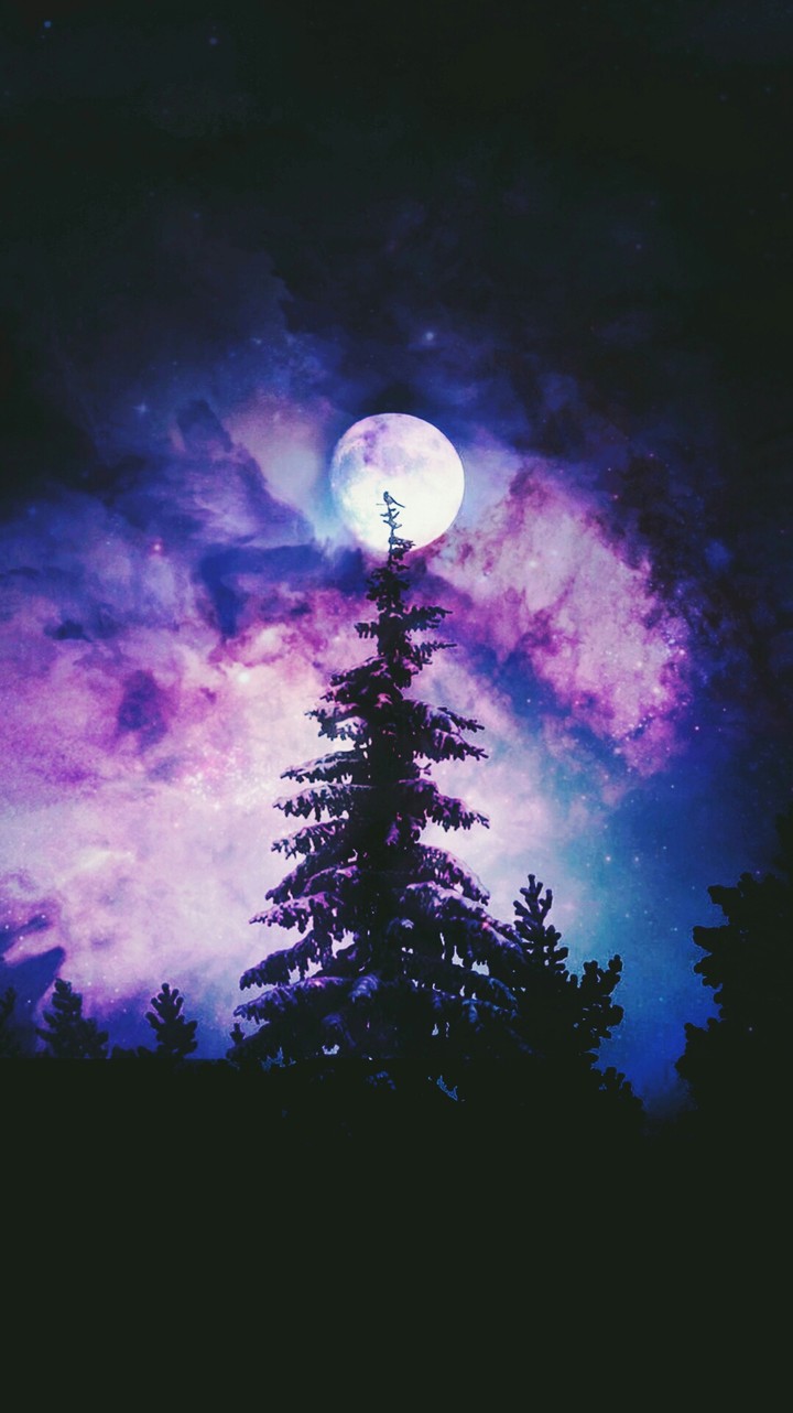 Galaxy