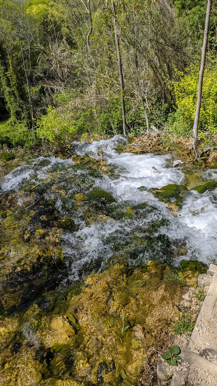 Nature life