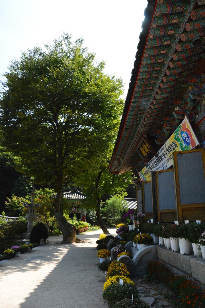 풍경이미지