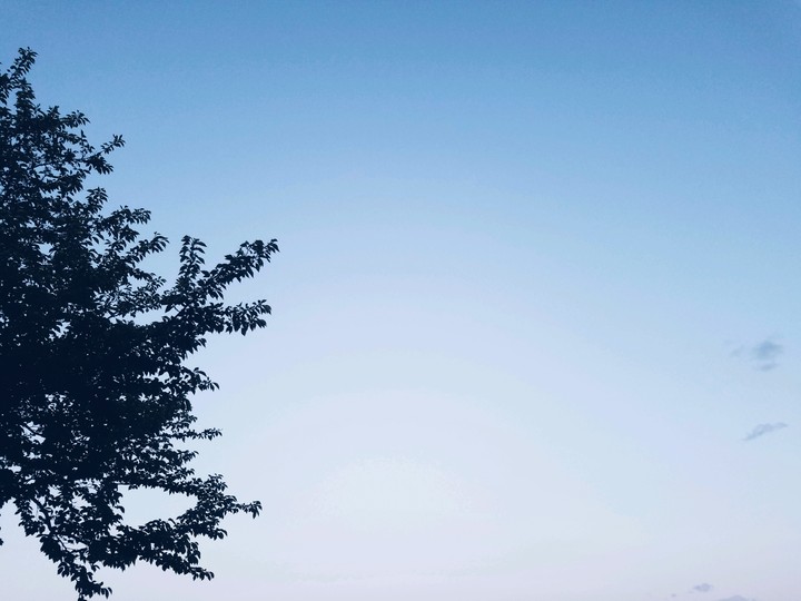 the sky bring summer