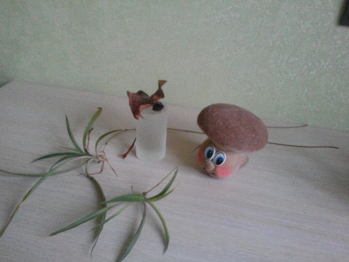 сухая картинка