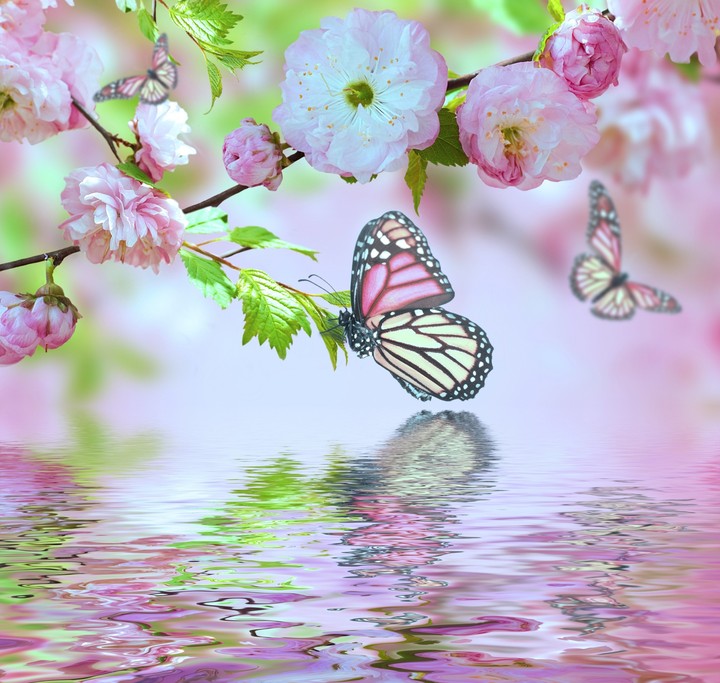 spring