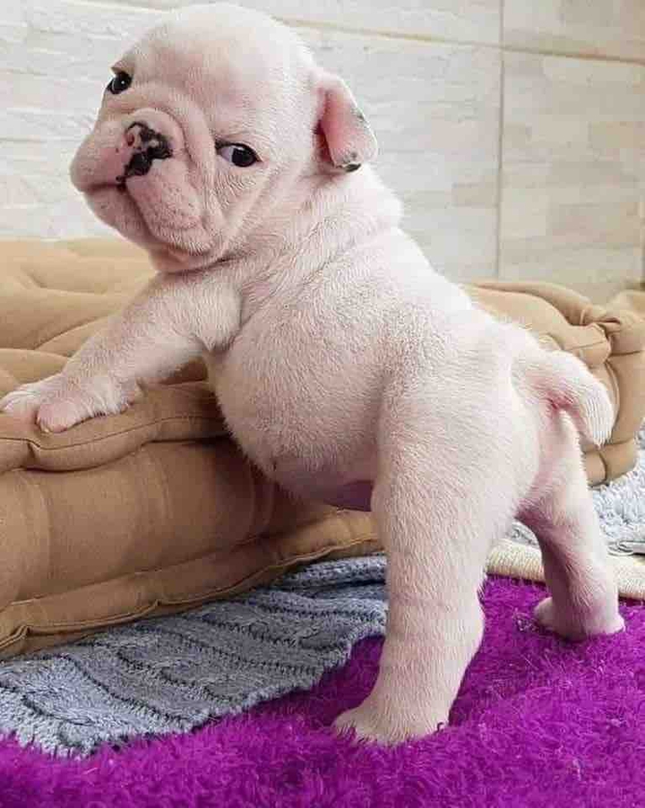 cute
